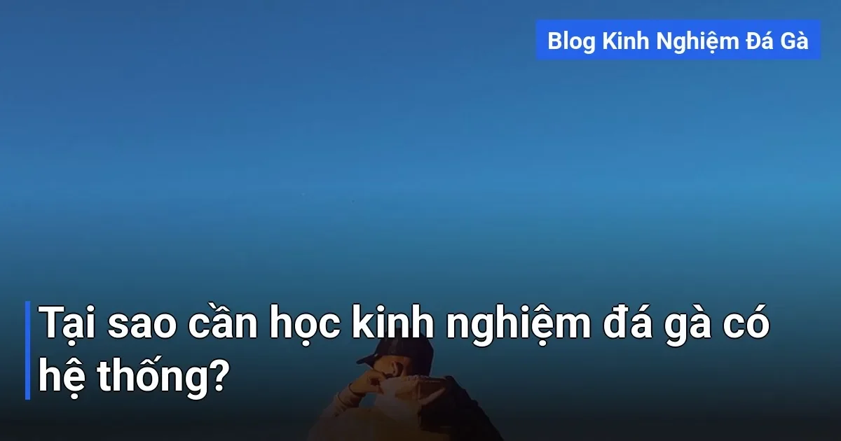 Rất nhiều người mới vào nghề thường học lỏng lẻo từ đây đó - kinh nghiệm đá gà
